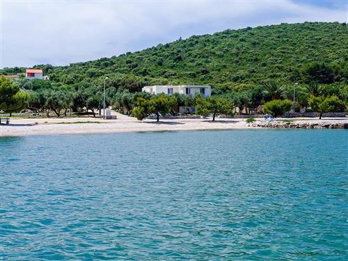 Holiday apartment - 5 persons -  - Uz obalu 28, Drace - 20246 - Janjina