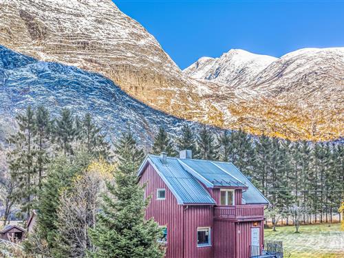 Sommerhus - 6 personer -  - Musgjerdveien - Gjøra/Sunndal - 6613 - Gjøra