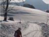Billede 2