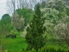 Bild 17 - Aussen