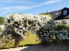 Bild 24 - Ude