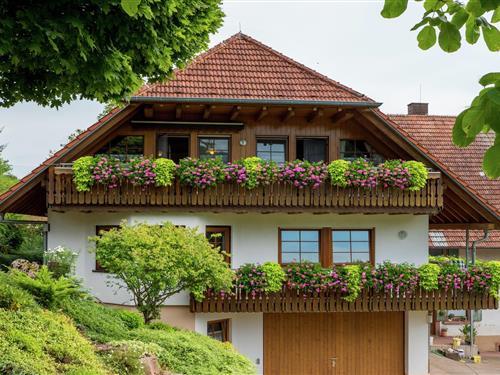 Bauernhaus - 5 Personen -  - 77978 - Schuttertal-Regelsbach