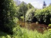 Bild 16