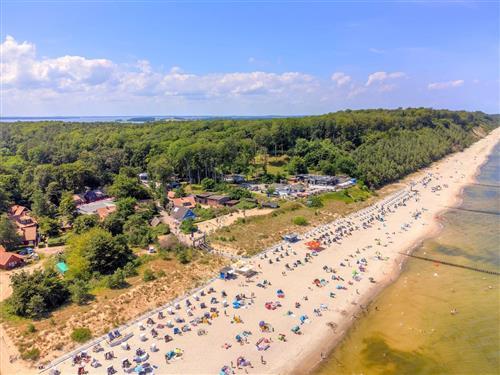 Feriehus / leilighet - 6 personer -  - Uferpromenade - 17459 - Ückeritz