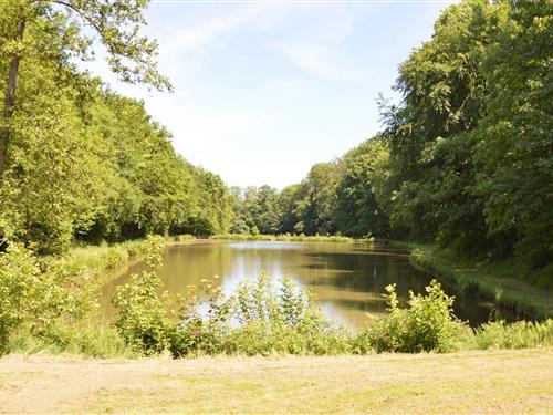 Sommerhus - 4 personer -  - 5620 - Rosée