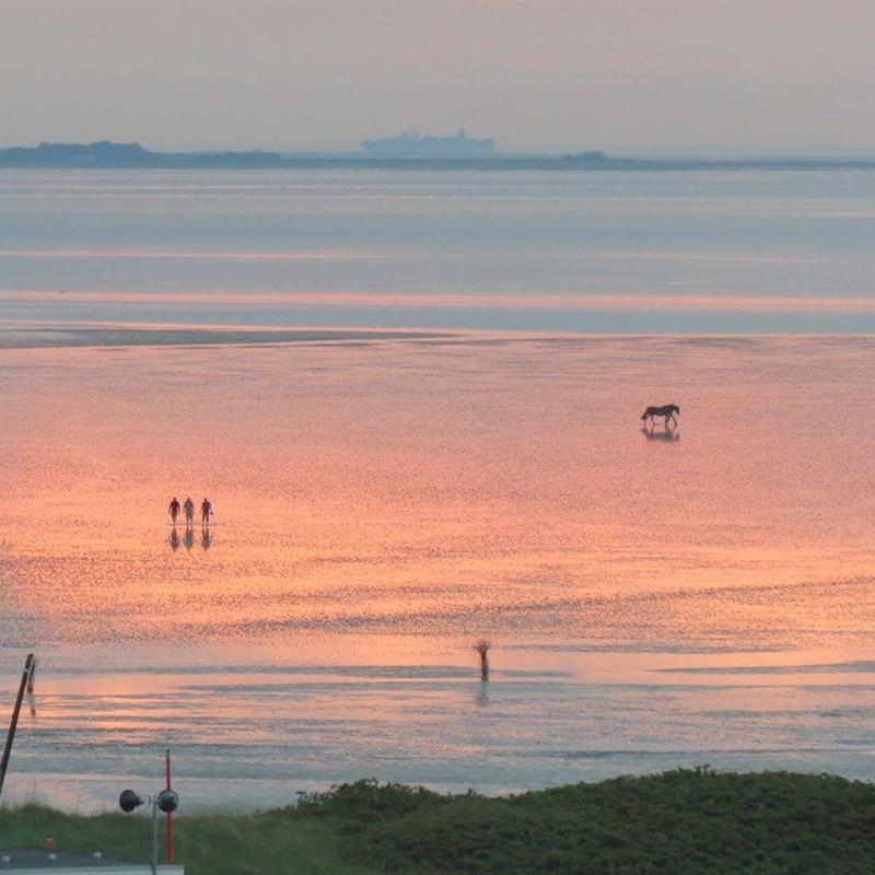 Ferielejlighed - 4 personer -  - Hans-Claußen-Straße - 27476 - Cuxhaven