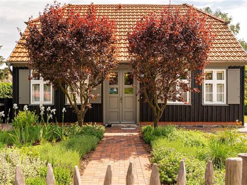 Sommerhus - 5 personer -  - Chausseestr. - 18375 - Born A. Darß