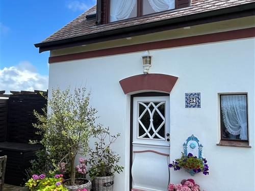 Ferieleilighet - 2 personer -  - Westerstraße - 25996 - Wenningstedt-Braderup (Sy