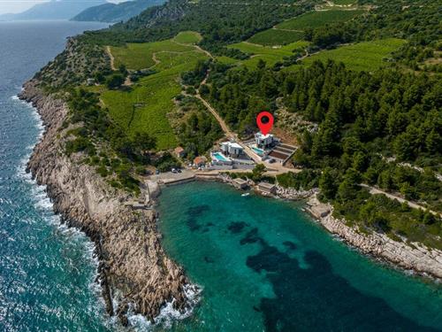 Feriehus - 6 personer -  - Zaskolj - Peljesac-Dingac - 20244 - Dingac