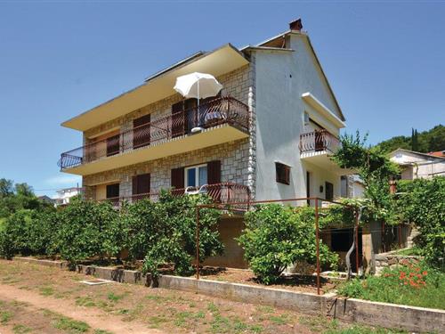 Ferieleilighet - 2 personer -  - Jelsa - Hvar-Jelsa - 21465 - Jelsa