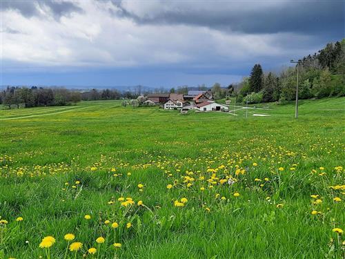 Ferienhaus - 4 Personen -  - Dürrenbach - 88316 - Isny Im Allgäu