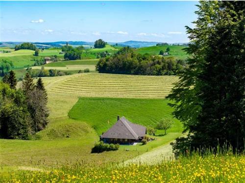 Holiday home - 4 persons -  - Wyssachen - 4954