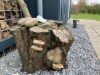 Bild 22
