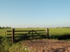 Image 27