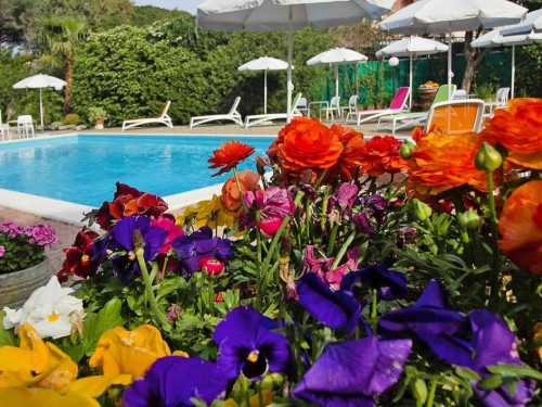 Ferieleilighet - 6 personer -  - 17025 - Loano