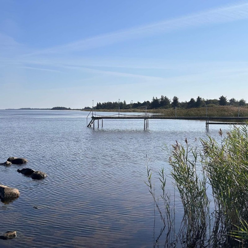 Sommerhus - 6 personer -  - Vester Fælled - Bork Havn - 6893 - Hemmet Strand