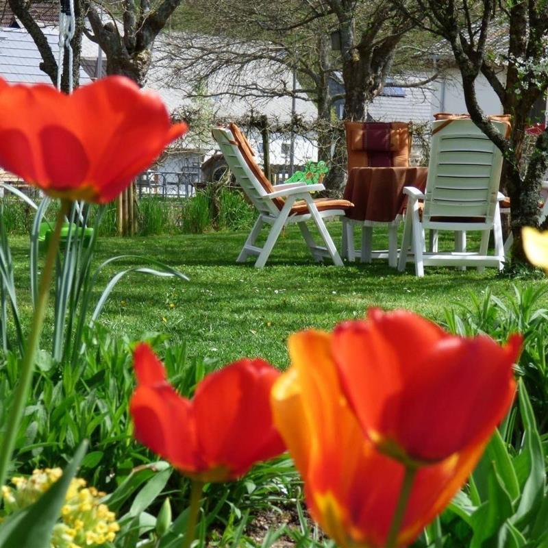 Ferielejlighed - 4 personer -  - Siesbach - 55767