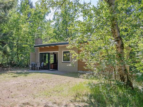 Holiday Home/Apartment - 4 persons -  - 7991PB - Dwingeloo