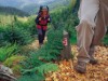 Bild 33