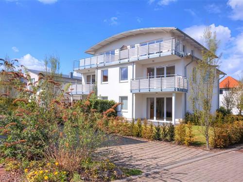 Ferieleilighet - 2 personer -  - Im Mühlenkamp - 17424 - Heringsdorf