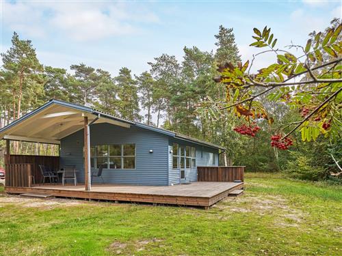 Ferienhaus - 6 Personen -  - Loftsgårdsskoven - Östre Sömark - 3720 - Aakirkeby