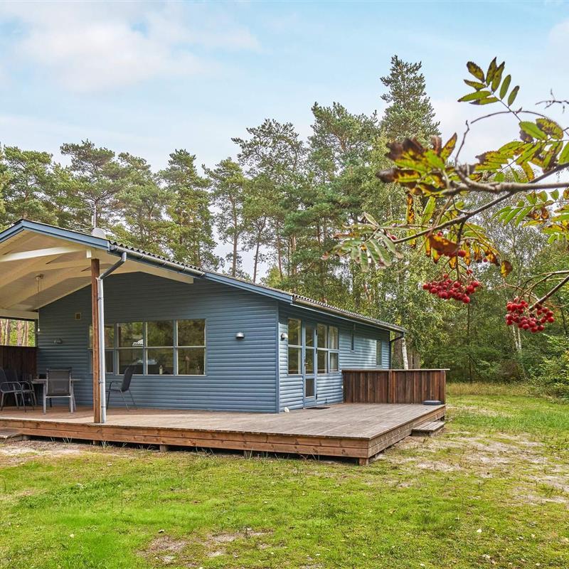 Sommerhus - 6 personer -  - Loftsgårdsskoven - Østre Sømark - 3720 - Åkirkeby