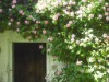 Bilde 30