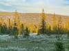 Bild 23