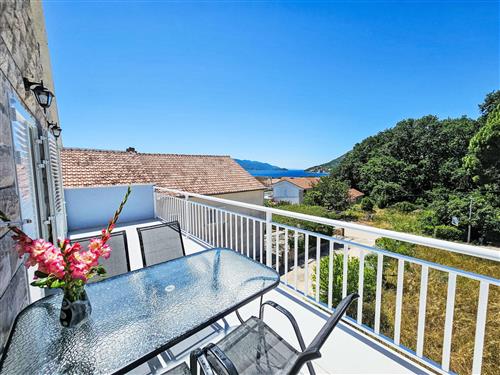 Holiday apartment - 4 persons -  - Orebic/Viganj - 20267