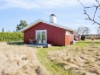 Billede 22