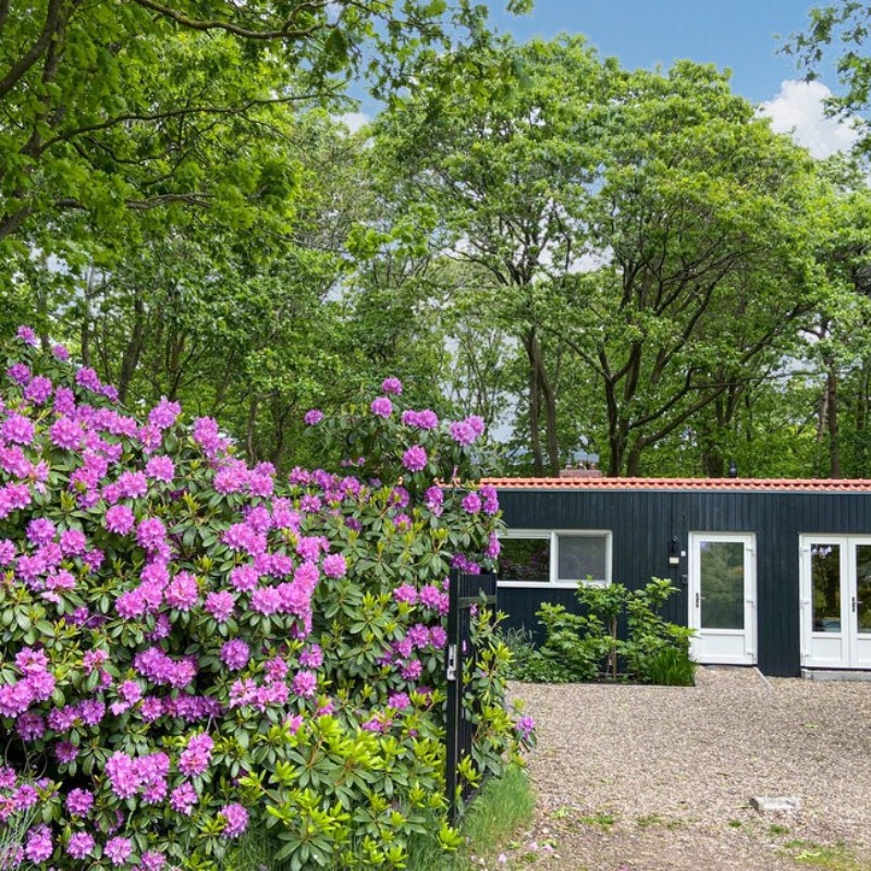 Sommerhus - 6 personer -  - Vianenweg - 7451 TD - Holten