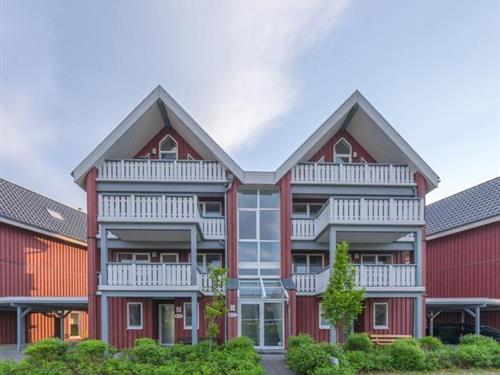 Semesterlägenhet - 3 personer -  - Am Hafendorf - 17248 - Rechlin-Nord