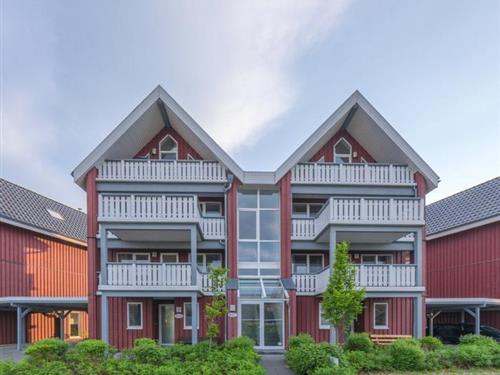 Ferielejlighed - 3 personer -  - Am Hafendorf - 17248 - Rechlin-Nord