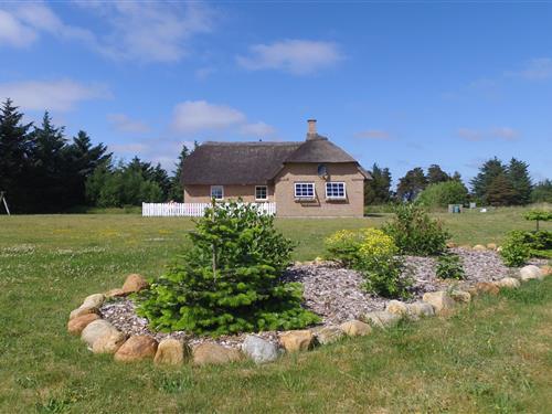Sommerhus - 6 personer -  - Lyngklitvej - Fjand - 6990 - Ulfborg