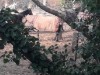 Billede 9