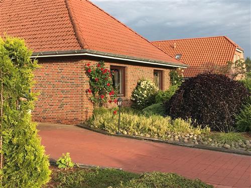 Holiday Home/Apartment - 4 persons -  - Eckelboomtrift - 26524 - Hage