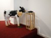 Bild 10