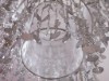 Image 29