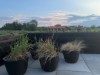 Bilde 26 - Terrasse