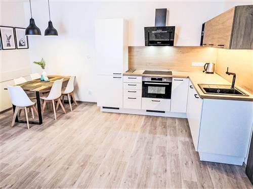 Ferielejlighed - 5 personer -  - Bozi Dar - 36262