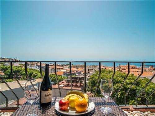 Holiday apartment - 5 persons -  - Madeira/Funchal - 9050