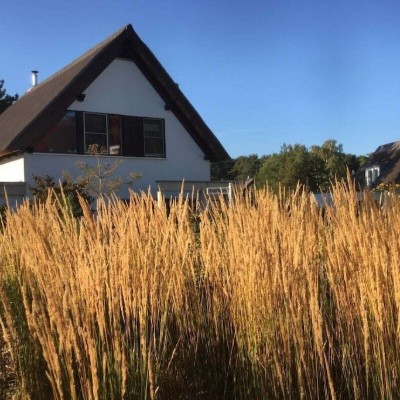 Billede 4