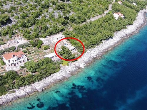 Holiday apartment - 4 persons -  - Zaglav - 20271 - Blato