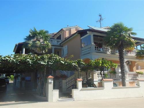 Holiday Home/Apartment - 2 persons -  - 52440 - Porec