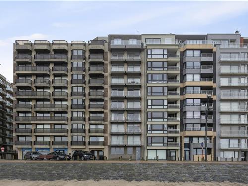 Ferielejlighed - 3 personer -  - 8370 - Blankenberge