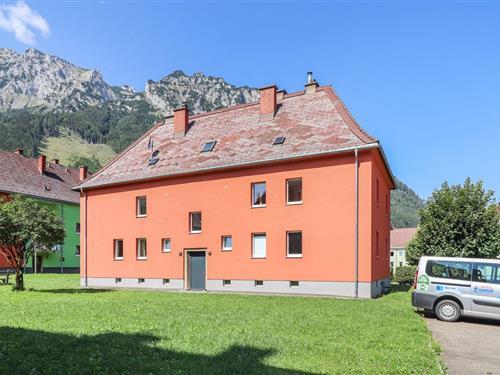 Sommerhus - 20 personer -  - Peterstammstr. - 8790 - Eisenerz