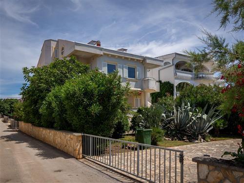 Ferielejlighed - 4 personer -  - Miljkovica XVI - 23234 - Vir