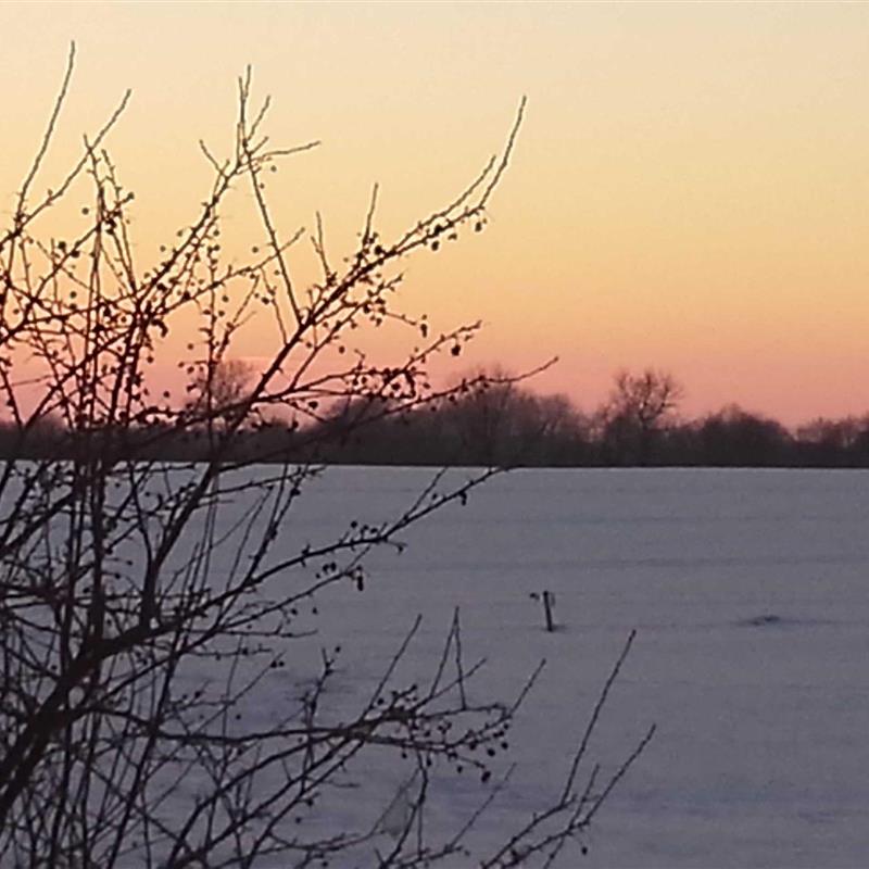 Ferielejlighed - 4 personer -  - Neuwerk - 24407 - Rabenkirchen-Faulück