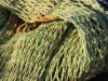 Billede 16