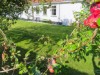 Billede 17 - Grund